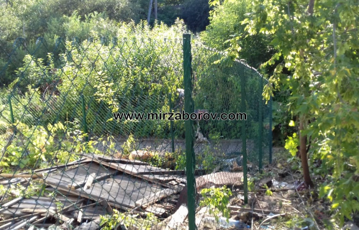 № 7007 Рабица внатяг в Томске